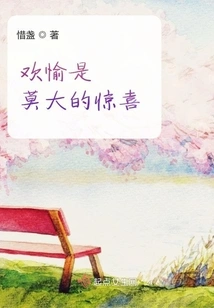 Joy is a Great Surprise