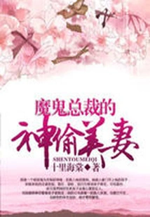 The Devil's Ceo's Beautiful Thief Wife