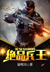 The Beautiful Ceo's Excellent Soldier King