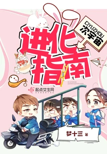 A Guide to Subcosmic Evolution