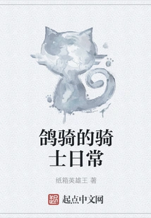 The Daily Routine of a Pigeon Rider