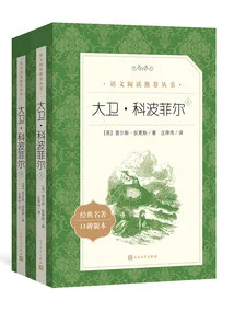 David Copperfield (2 Volumes in Total)