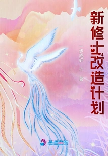 New Monk Renovation Plan