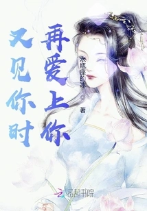 I Will Fall in Love with You Again When I See You Again