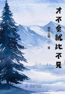 I Won't Just Disappear