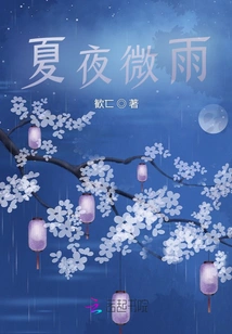 Summer Night Light Rain