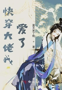 Quickly Wear It, Boss, I Love It