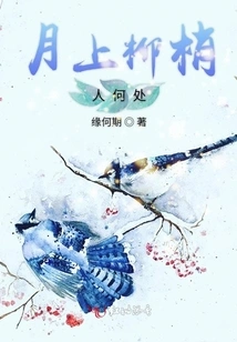 Where Are the People in the Willow Branches on the Moon?