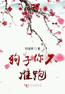 Dog, You Are Not Allowed to Run