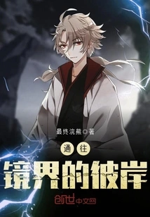 To the Other Side of the Mirror World