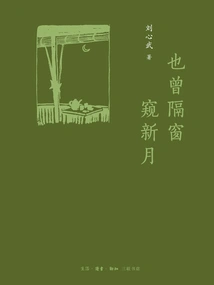 I Also Glimpsed the New Moon Through the Window