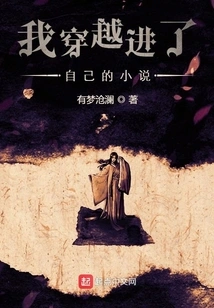 I Traveled into My Own Novel