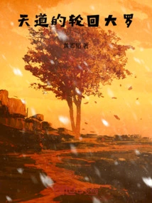 The Reincarnation of Heaven