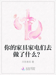 What Did Your Furniture and Appliances Do?