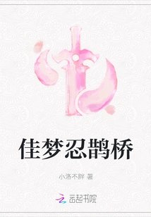 Good Dream Ninja Magpie Bridge