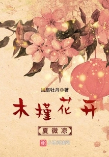 Hibiscus Flowers Are Blooming and the Summer is Slightly Cool