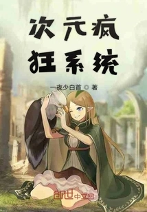 Dimensional Madness System