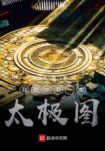 I Have a Tai Chi Book in My Mind