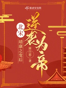 Northern Song Dynasty: Counterattack and Became Emperor after the Jingkang Revolution