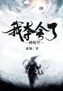 I Took Away Sun Wukong