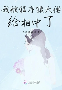 I Was Attracted by a Big Programmer