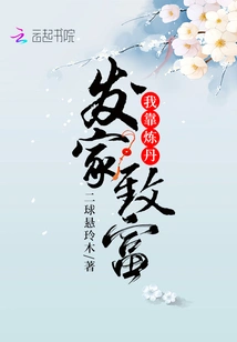 I Made a Fortune by Refining Elixirs