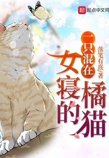 An Orange Cat Hanging Out in the Women's Dormitory