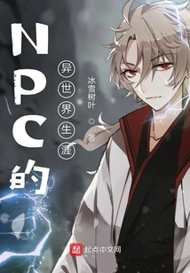 Npc's Career in Another World