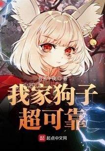 My Dog ​​is Super Reliable