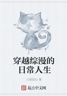 Traveling Through the Daily Life of Comics