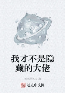 I'm Not a Hidden Boss