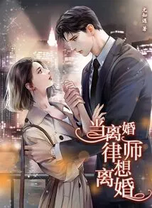 Become a Divorce Lawyer and Want a Divorce