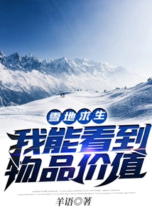 I Can See the Value of Items in Snow Survival