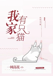 There is a Cat in My House