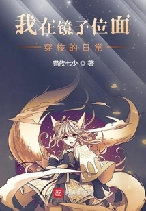 My Daily Life Traveling Through the Mirror Plane