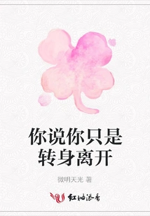 You Said You Just Turned Around and Left