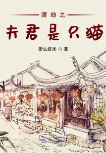 The Husband Who Overcomes the Tribulation is a Cat