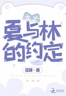 Xia and Lin's Agreement