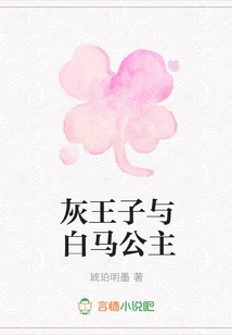 The Gray Prince and the Princess Charming