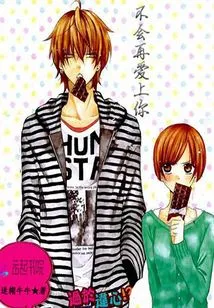 I Won't Fall in Love with You Again