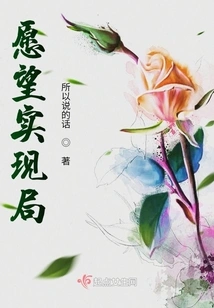 Wish Fulfillment Bureau