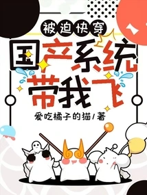 Forced to Travel Quickly, the Domestic System Took Me Flying