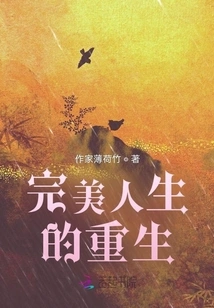 Rebirth of a Perfect Life