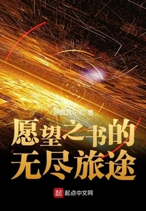 The Endless Journey of the Book of Wishes