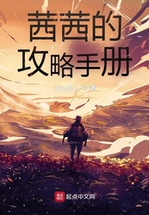 Sissi's Strategy Manual