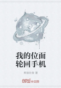 My Plane Reincarnation Mobile Phone