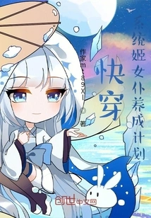 Quick Travel: System Ji Maid Development Plan