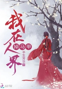 I Lost My Vest in the Human World