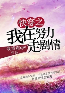 I'm Trying to Follow the Plot of "quick Time Travel