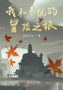 My Adventure with the System